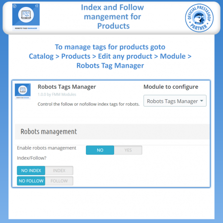 Meta Robot Tags - NoFollow NoIndex Manager