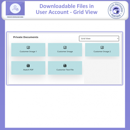Exemple d'onglet zone téléchargement VIP dans le compte utilisateur.