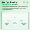 Kostenloser Versand bei PrestaShop: Kostenlose Lieferung