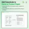Hreflang- & Canonical-Tags für PrestaShop | Automatisiertes SEO