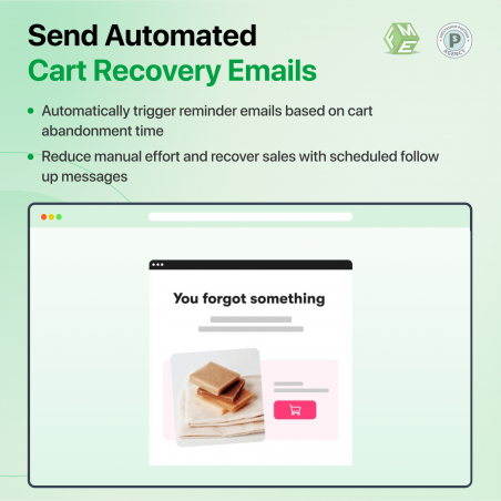 Automated recovery emails