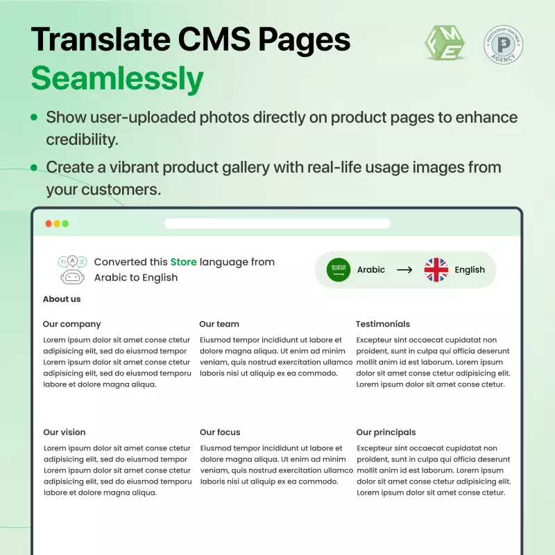 Ai Translation for CMS Pages