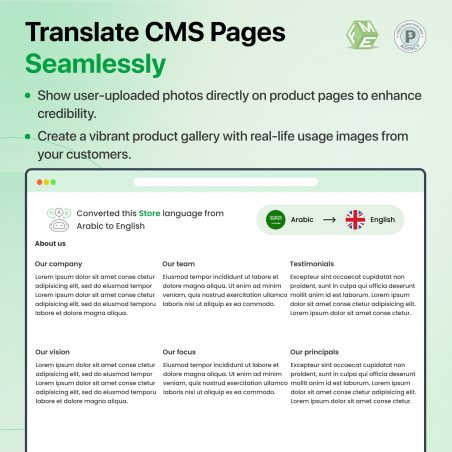 Ai Translation for CMS Pages
